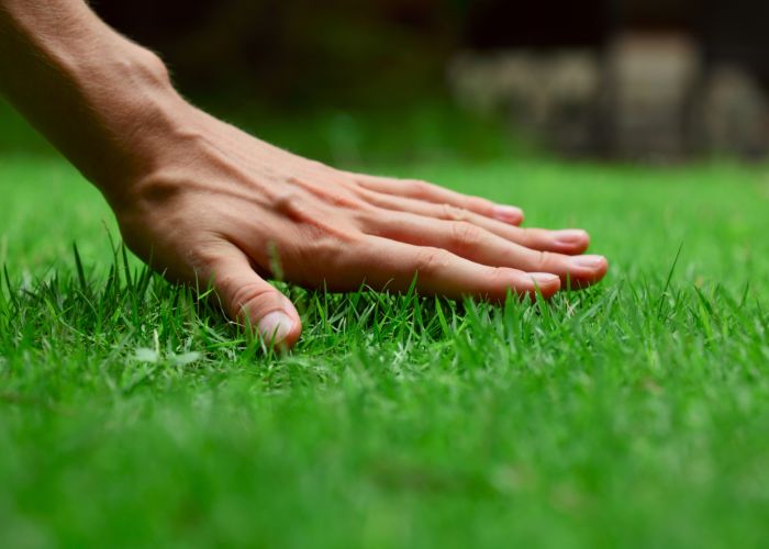 professional landscaping touching up property with lawn care services in Boston
